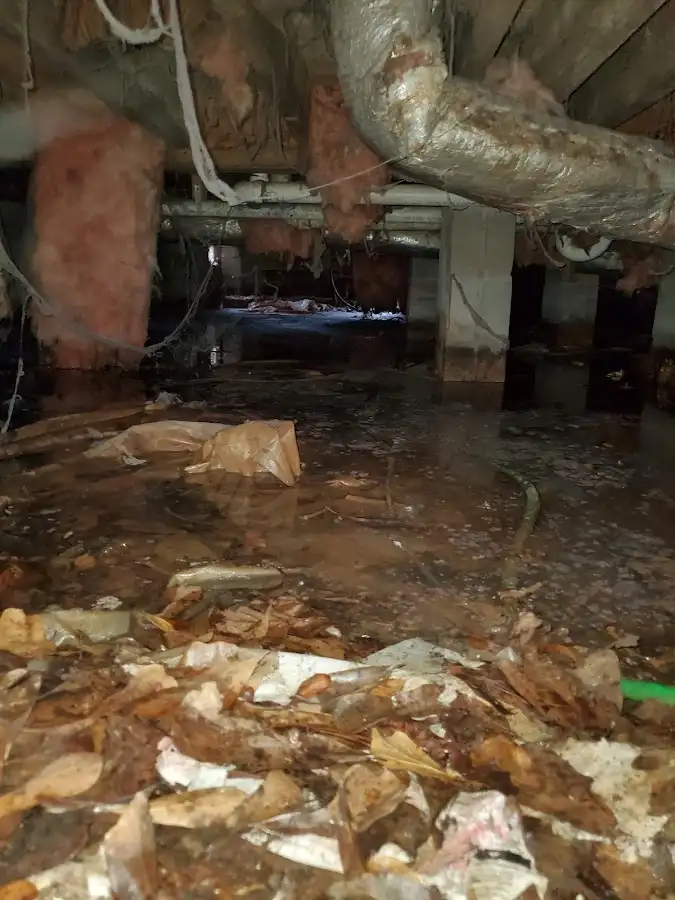 Crawl space flood assessment for Commercial Water Damage Restoration in Heeia