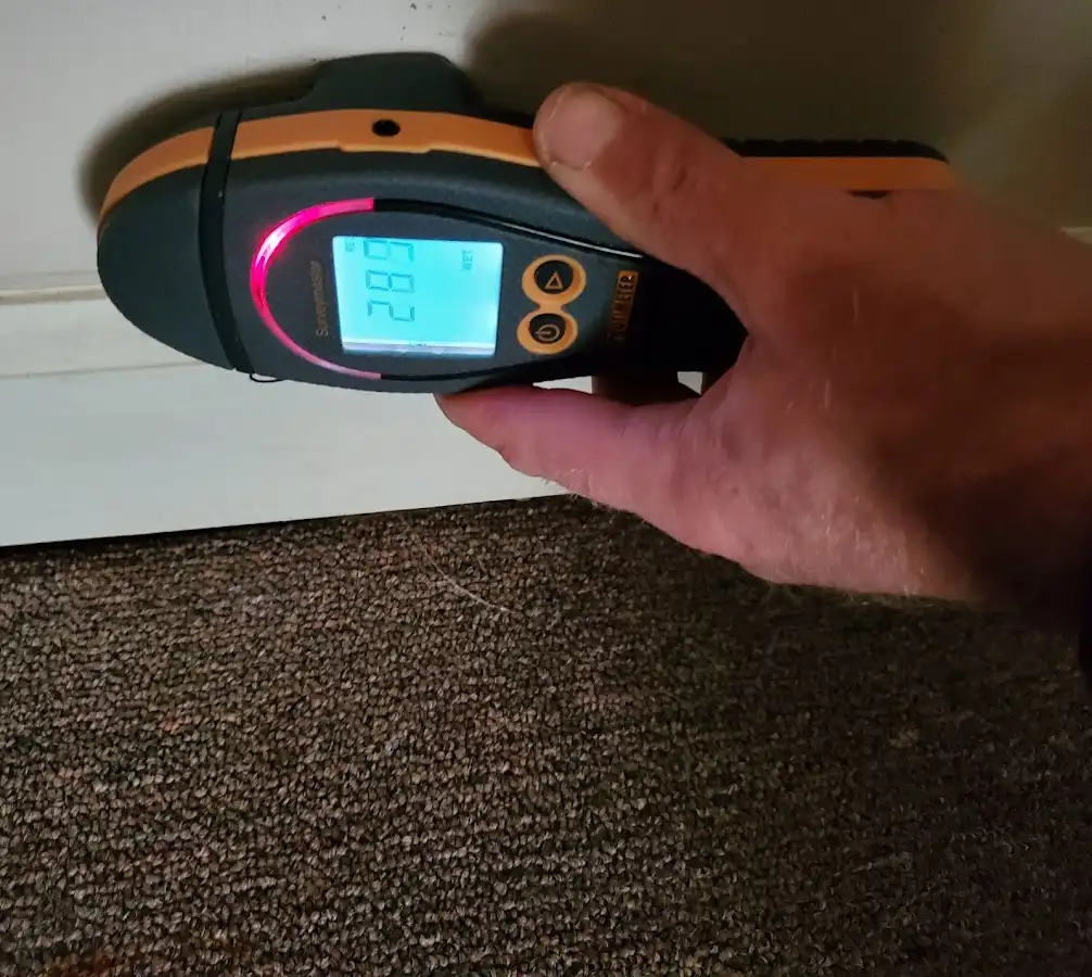 Moisture detection at baseboard during Burst Pipe Cleanup in Heeia